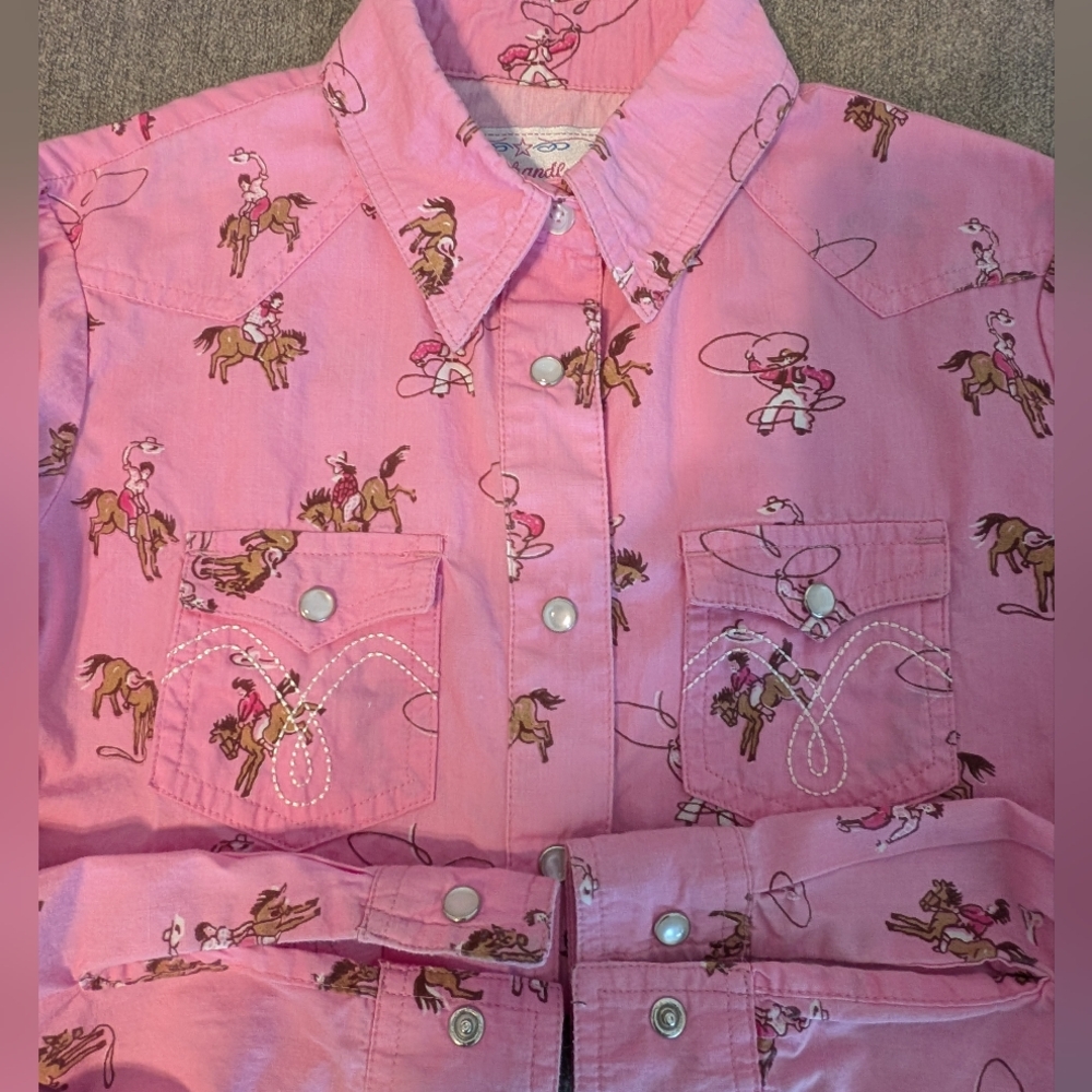 Panhandle Slim Pink Cowboy Print Button Down Shirt